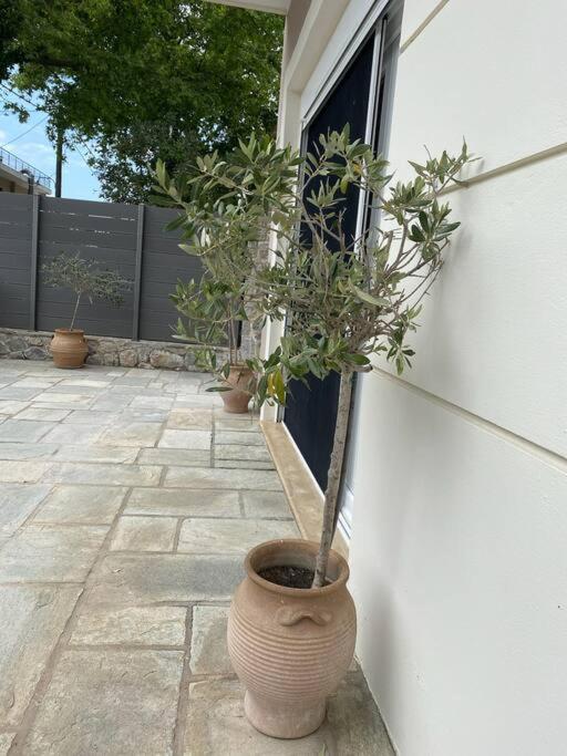 Villa Oleander Agios Nikolaos Loutra Edipsou Zewnętrze zdjęcie