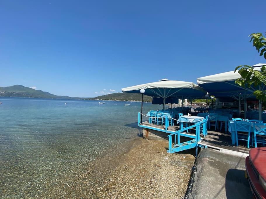 Villa Oleander Agios Nikolaos Loutra Edipsou Zewnętrze zdjęcie